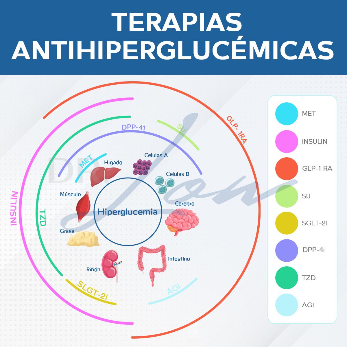 Moises Rodriguez Low-18