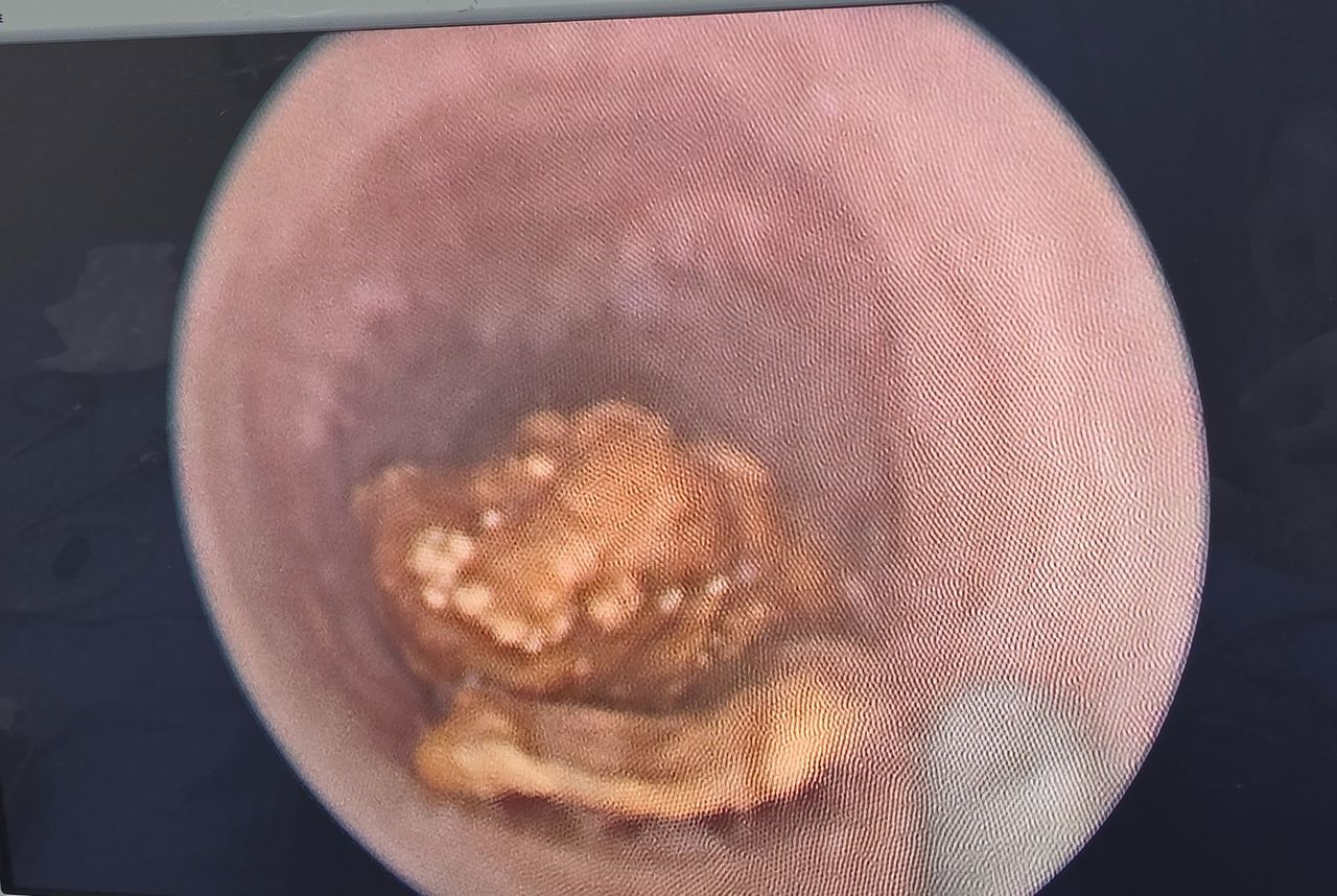 Lázaro Sánchez Vicuña-10