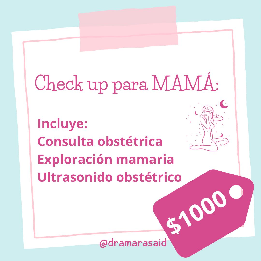 Mara Antonieta Said Calva-3