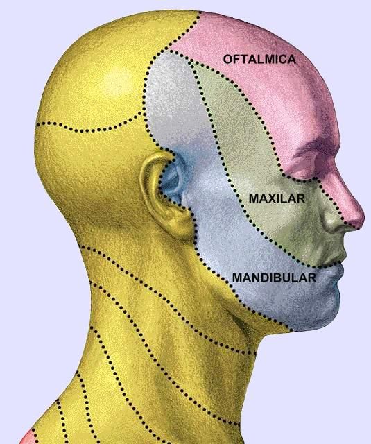 José Sayavedra Jaimes-12