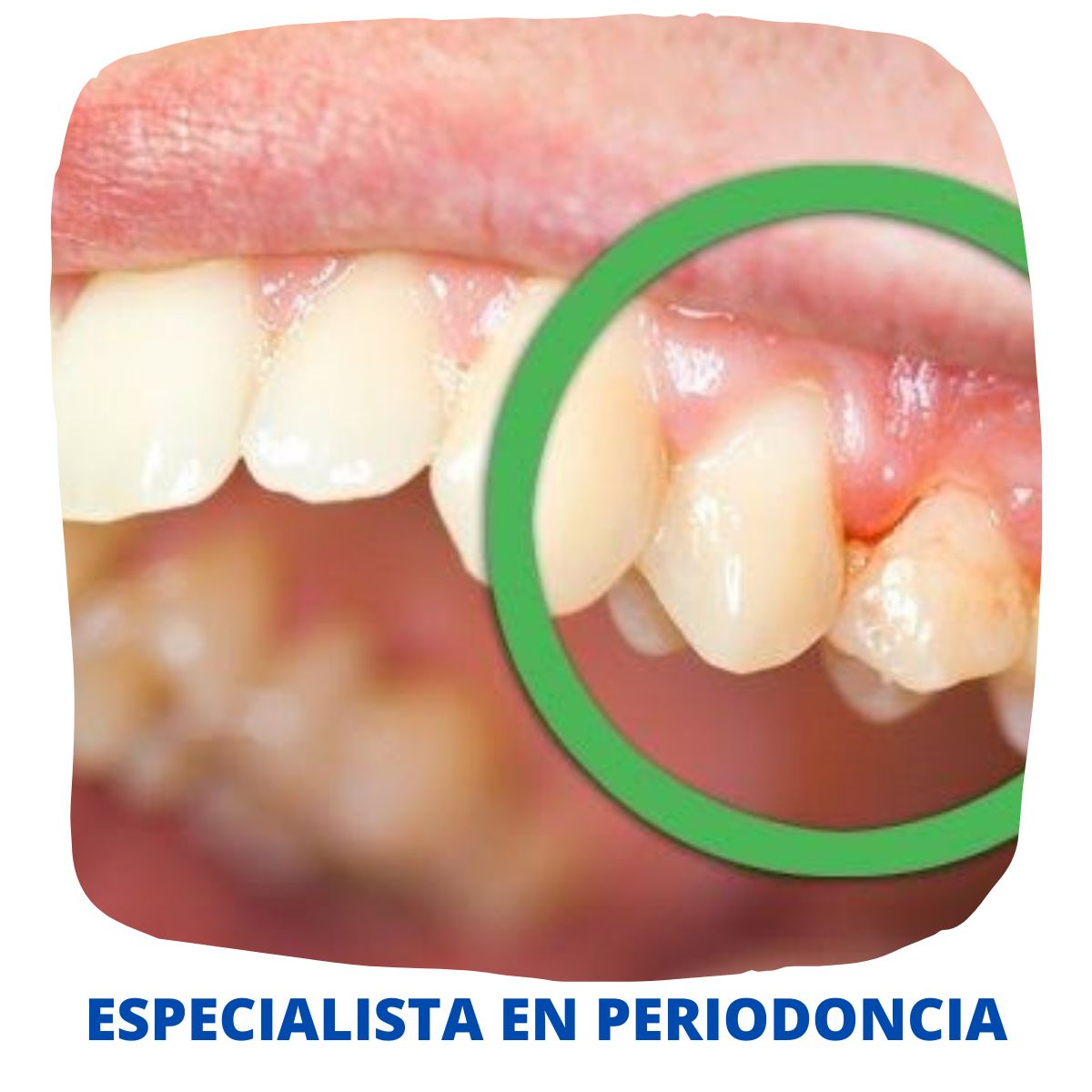 Jorge Benjamin Amezcua Ramos-49