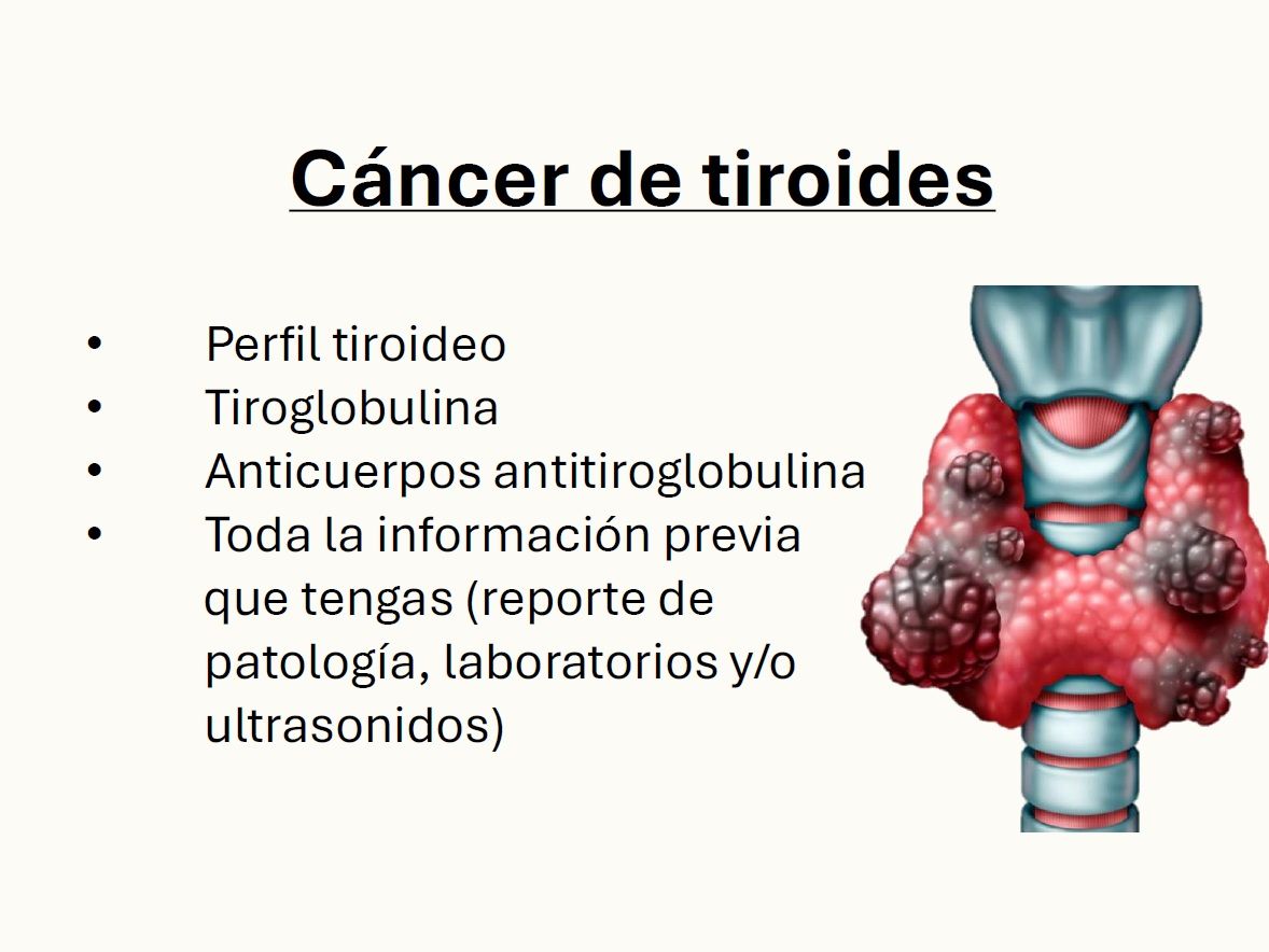 Adriana Pamela Castillo Jaidar-3