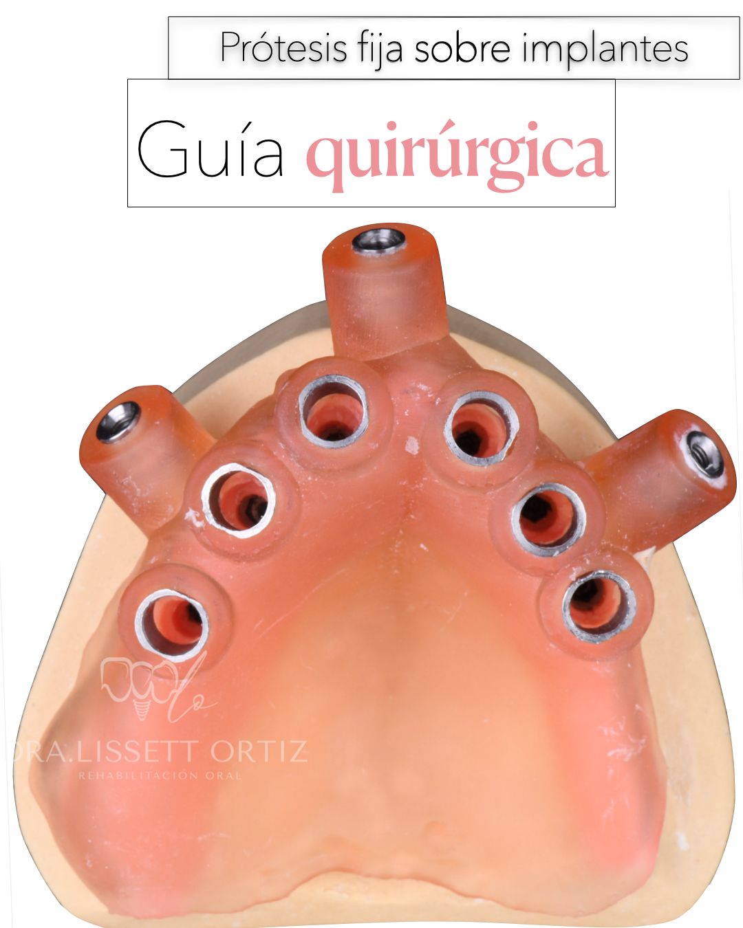 Ana Lissett Ortiz-29