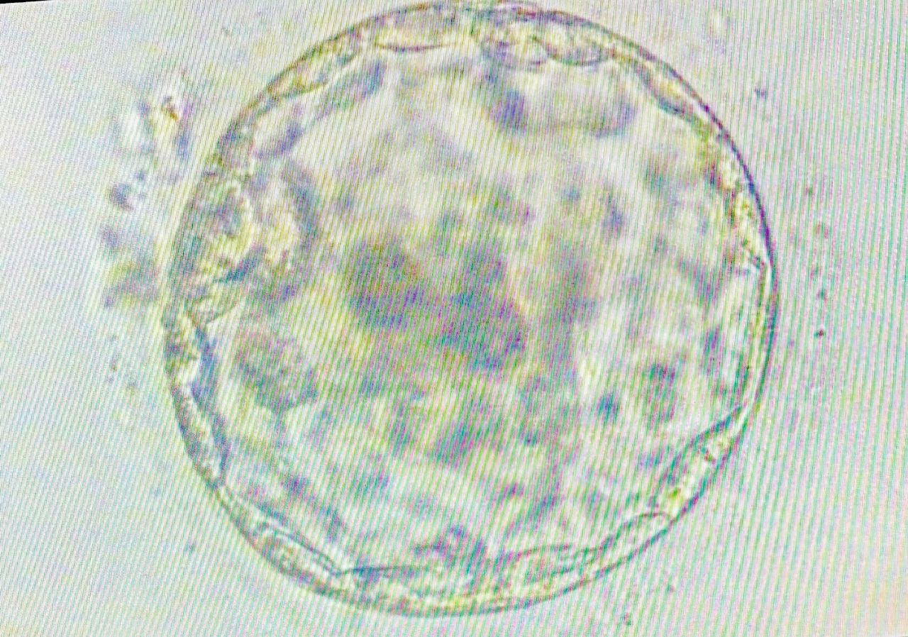 Miriam Yusely Sánchez Tafoya-8