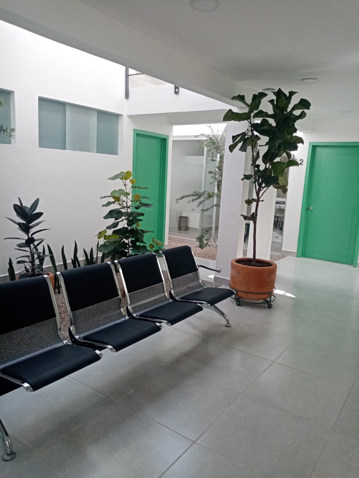 Ma. Carmen Herrera-10