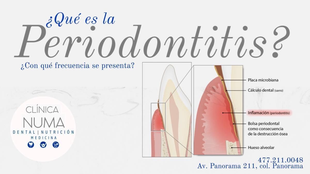 Rodolfo Márquez Sánchez-5