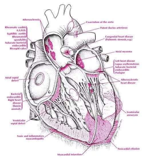 Francisco Cruz Ramos-60