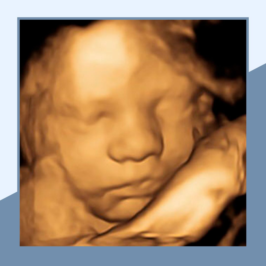 Eduardo Williams Victoria-12