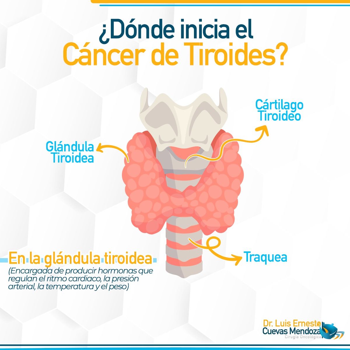 Luis Ernesto Cuevas Mendoza-92