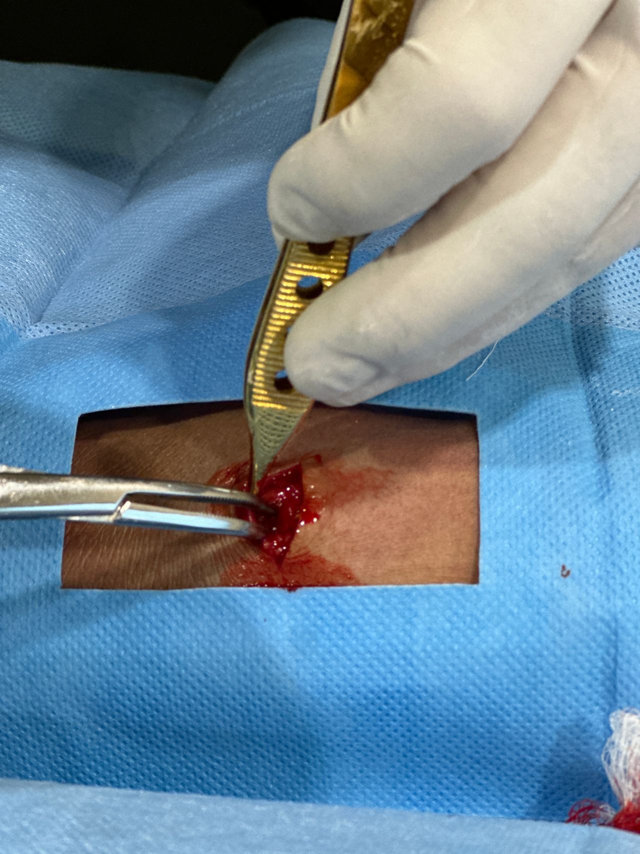 Monica Isabel Clavel Nicolas-4