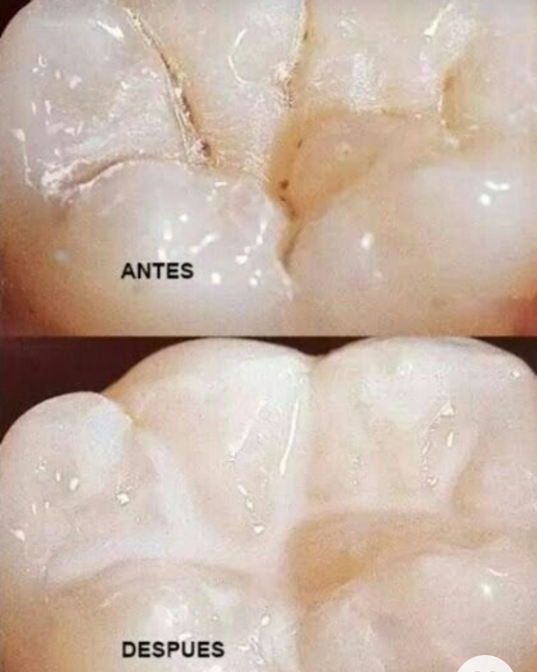 Lina Orozco Aguilera-14