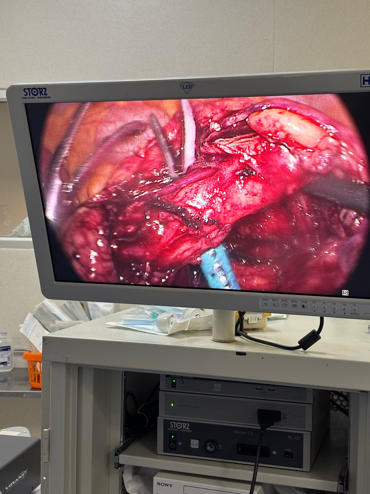 José De Jesús Nuñez Aguilar-12