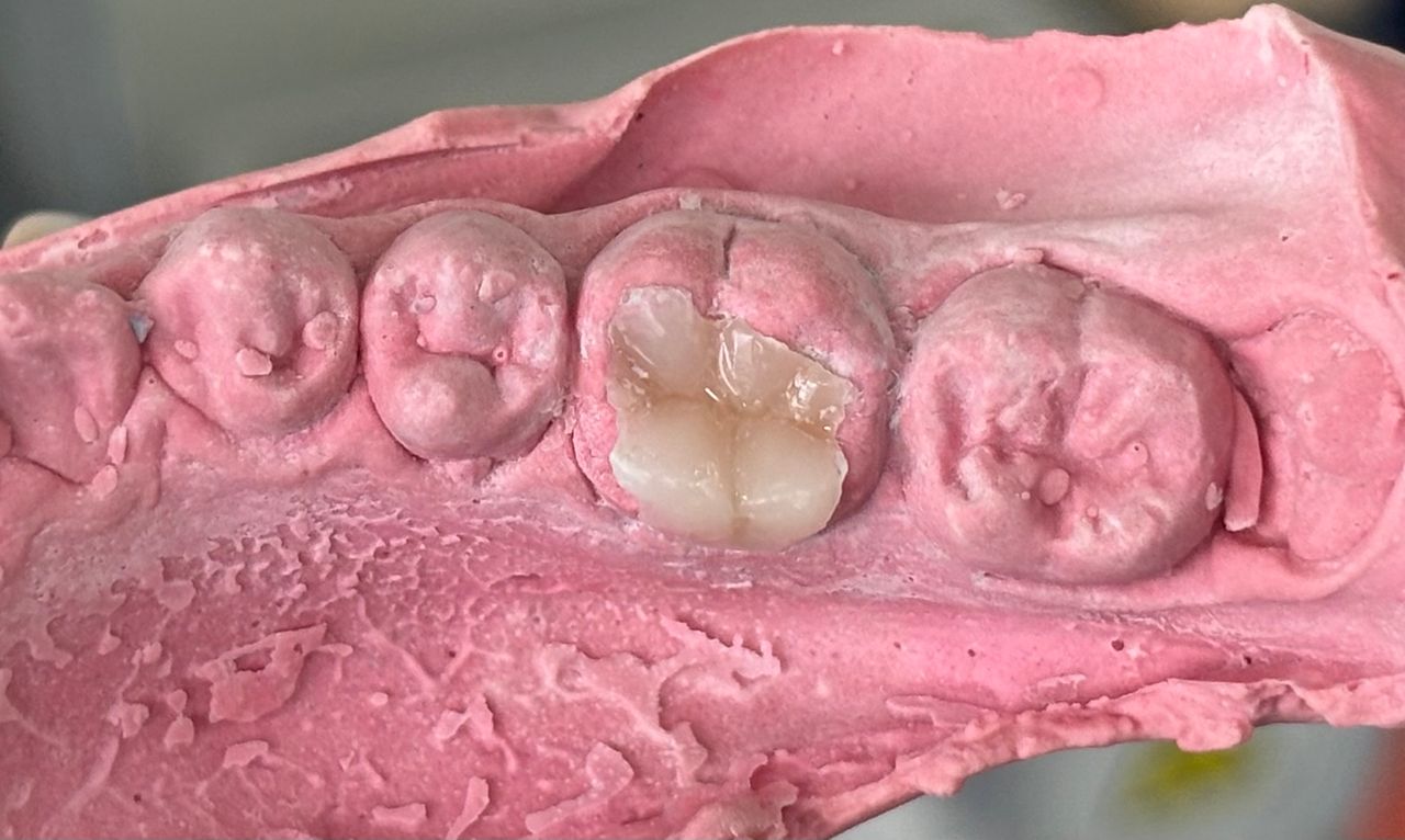 María Paula  Flores Novoa-64