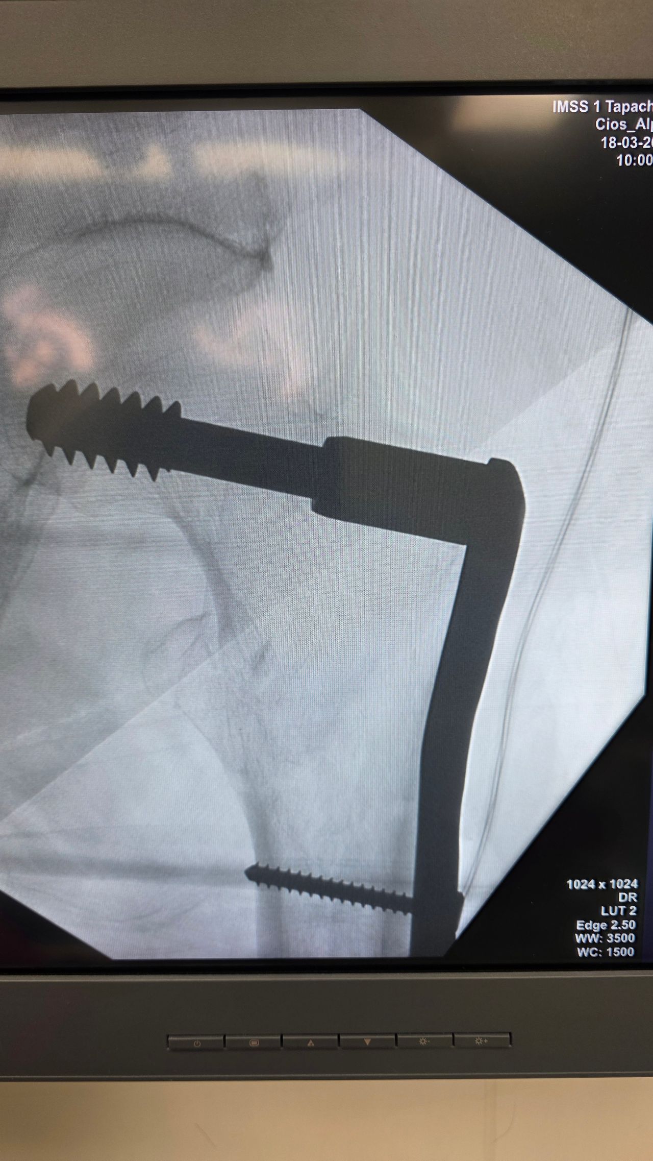 Amando Ramirez Zavala-4