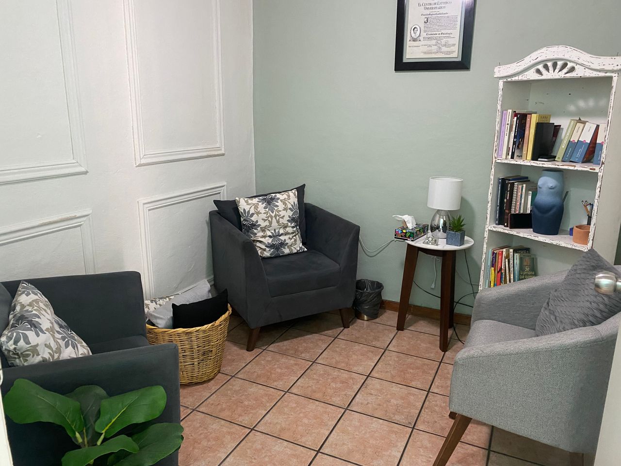 Graciela Regina Cantú Cepeda-0