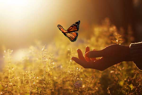 Ma De Jesús Martínez García-1