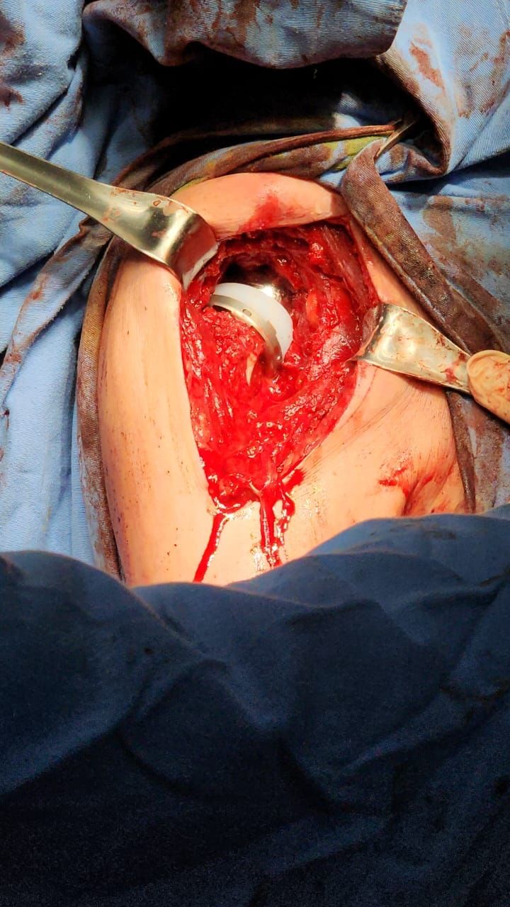 Carlos Horacio Sanchez Rodrigo-17