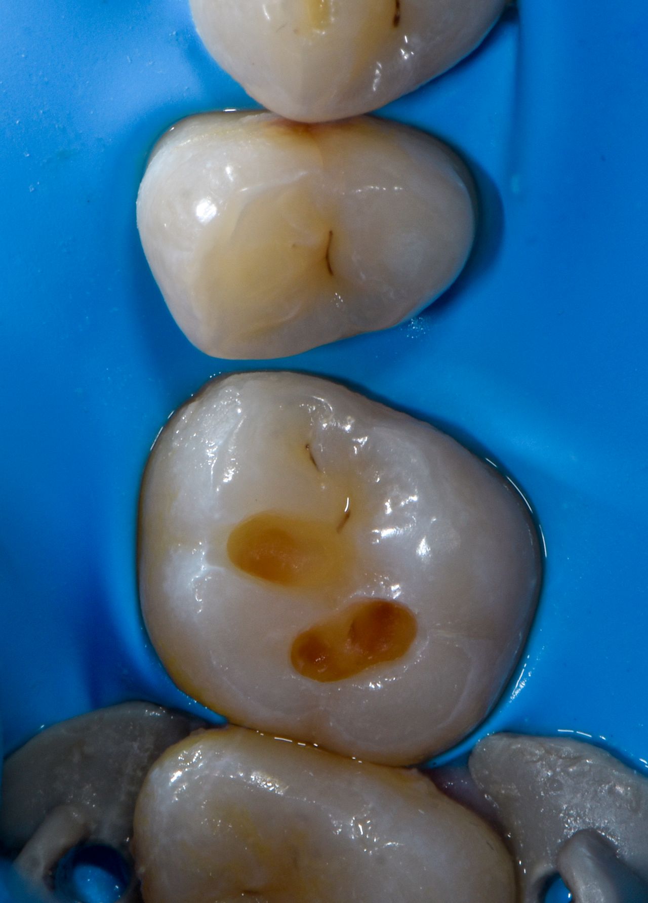Marco Antonio Silva-2