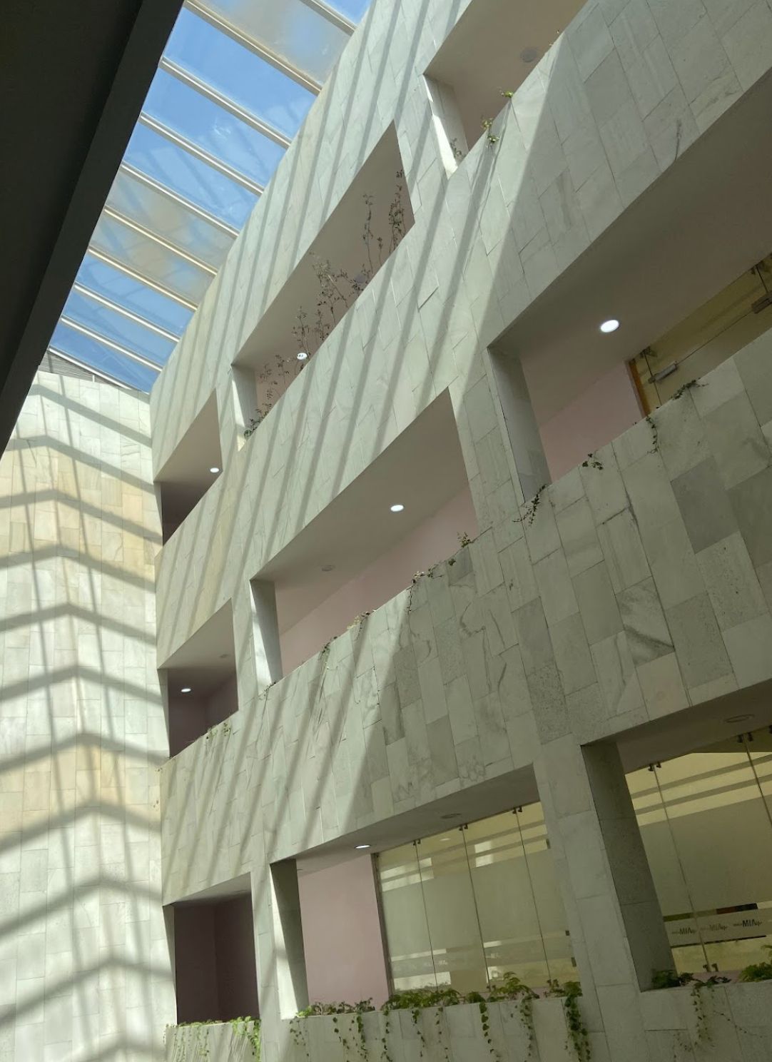 Julio Fernando Muñiz Jiménez-8