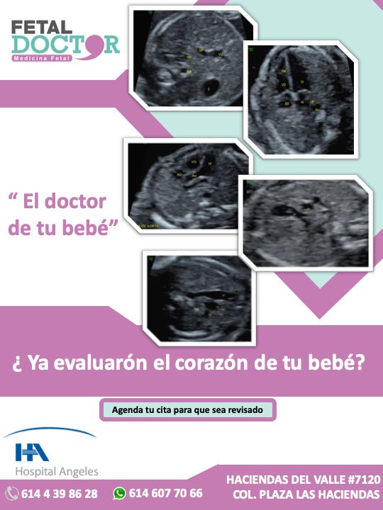 Jesús Manuel Ortega Flores-13