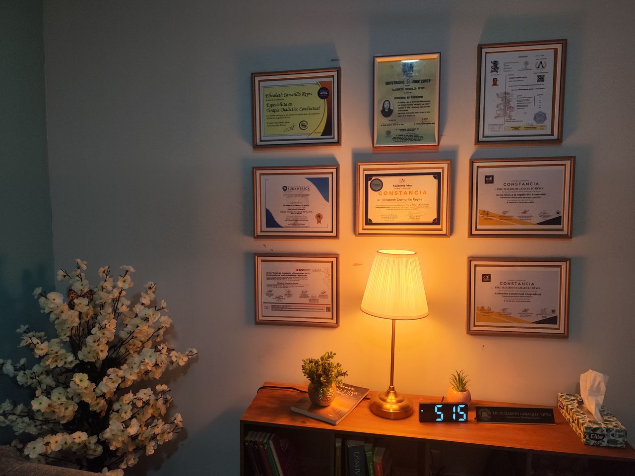 Elizabeth Camarillo Reyes-1