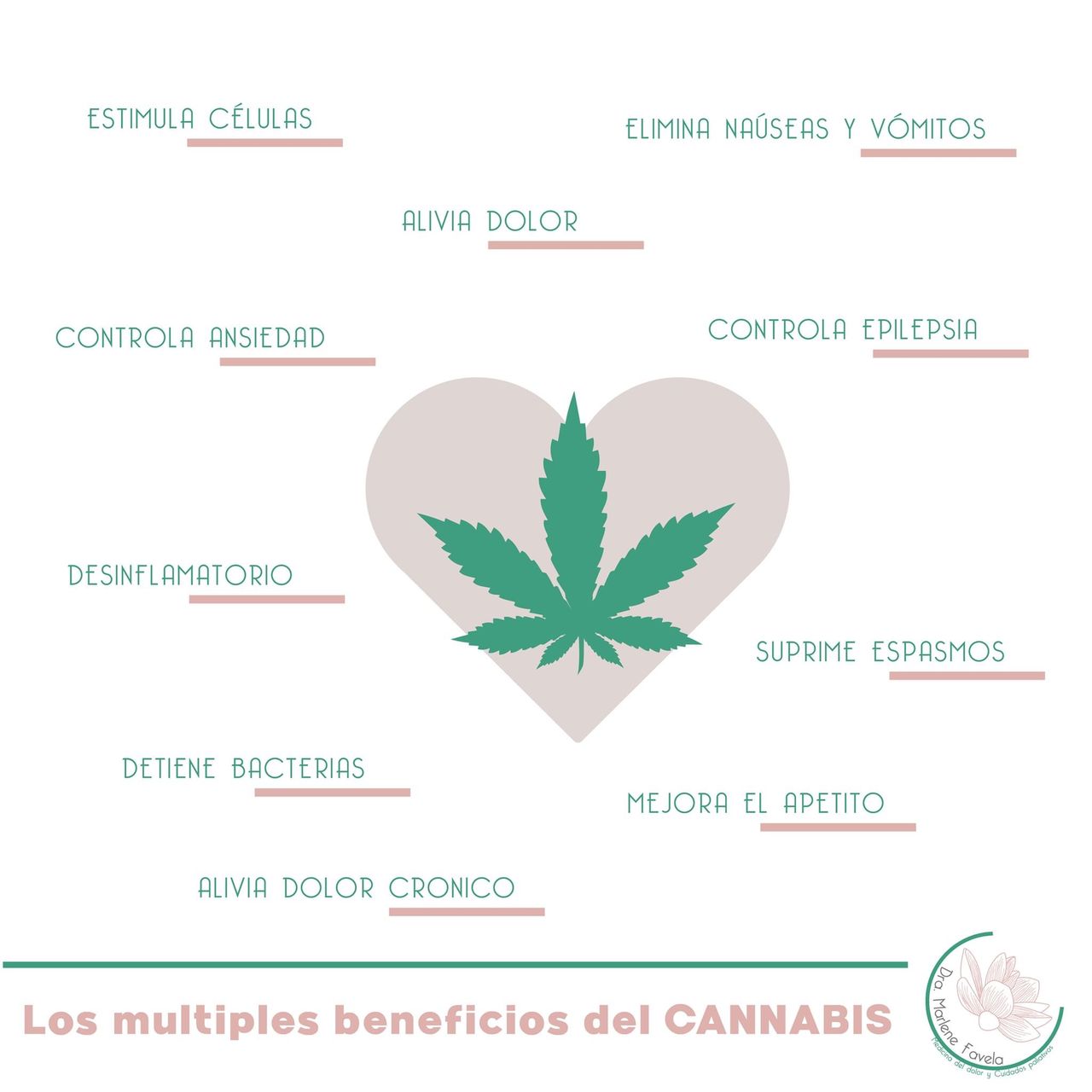 Luz Marlene Favela Suarez-13