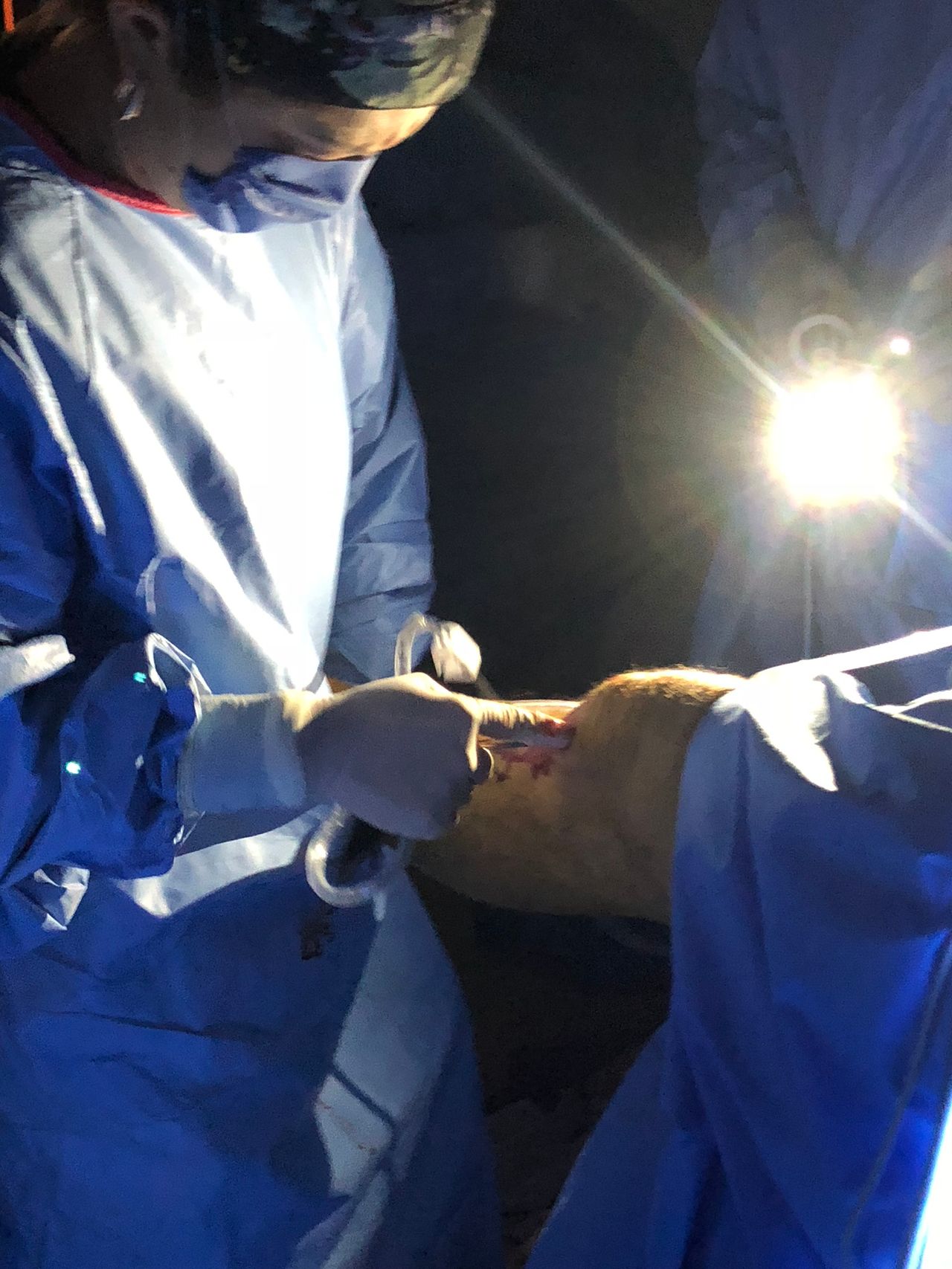 Silvia Carolina Pérez Acal-3