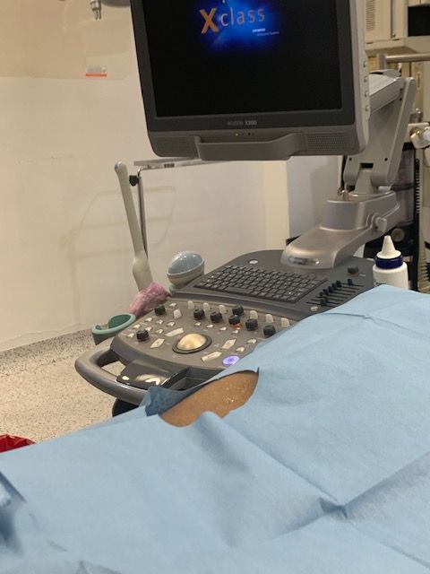 Viridiana Morales Vizuet-10