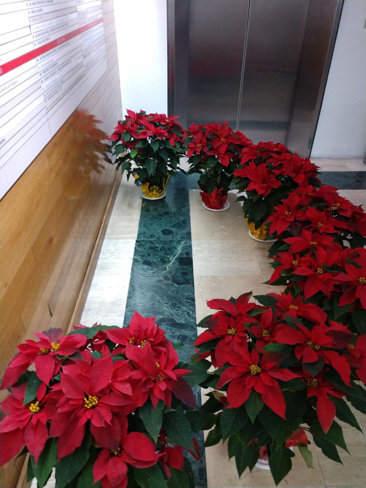 Analuz Narváez Padilla-21