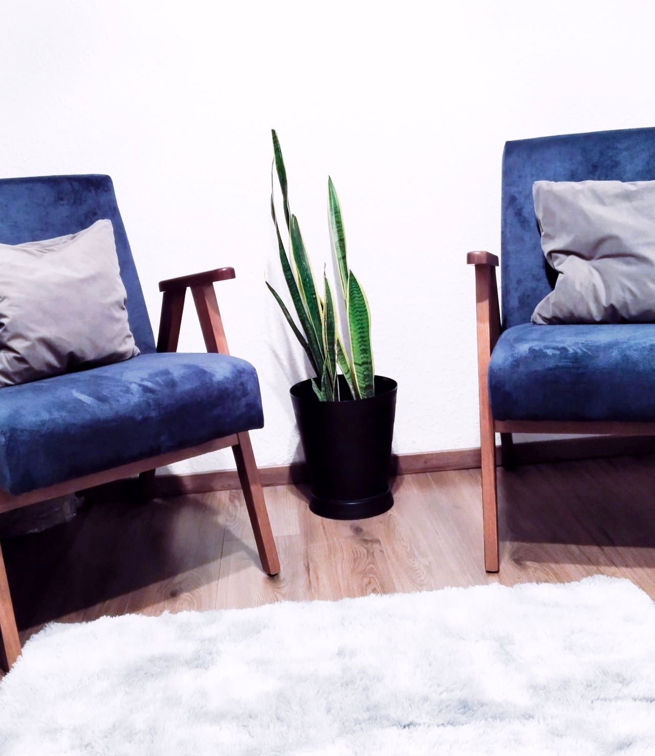 Diana González Gutiérrez-1