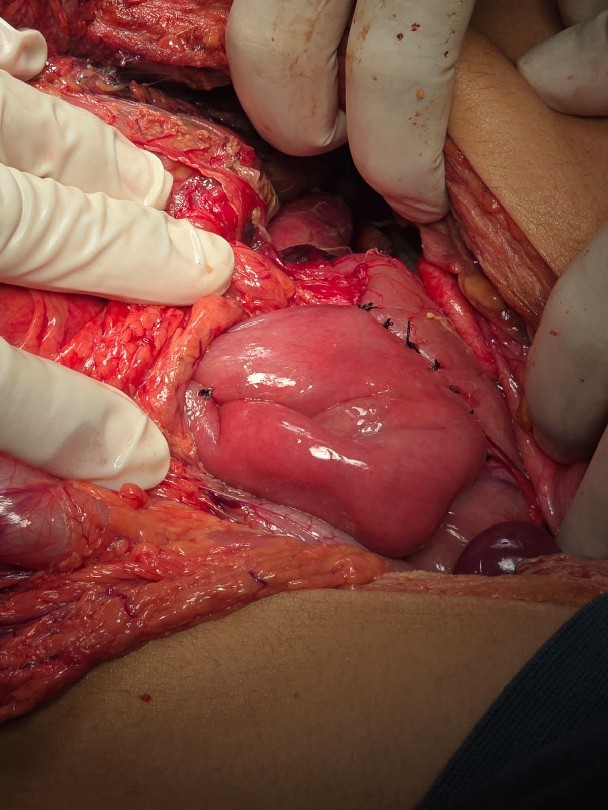 Jorge Rodríguez Navarro-6