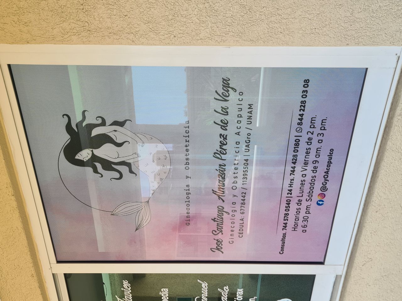 José Santiago Almazán Pérez De La Vega-32