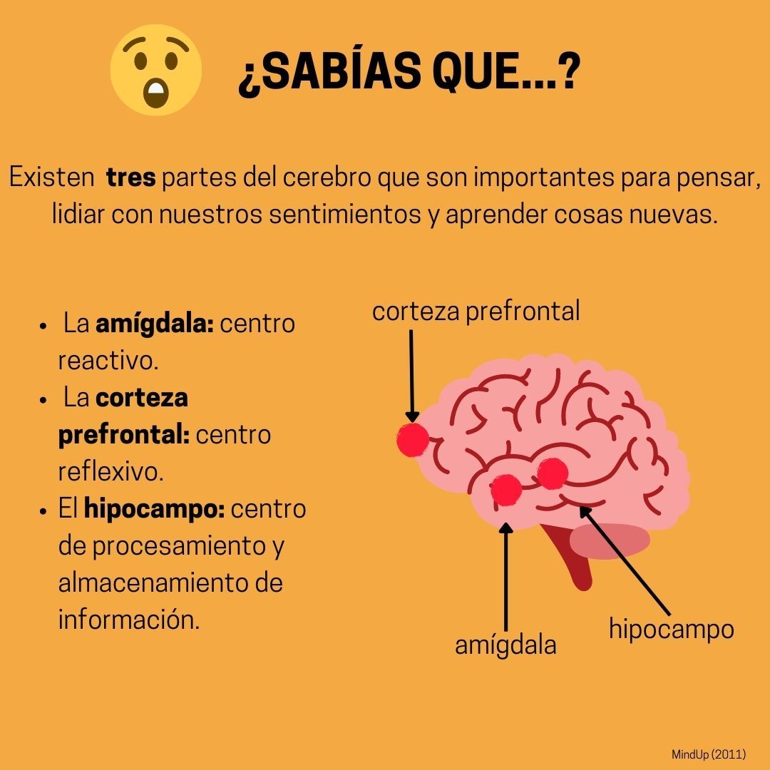 Oriana Alvarado Carrillo-0