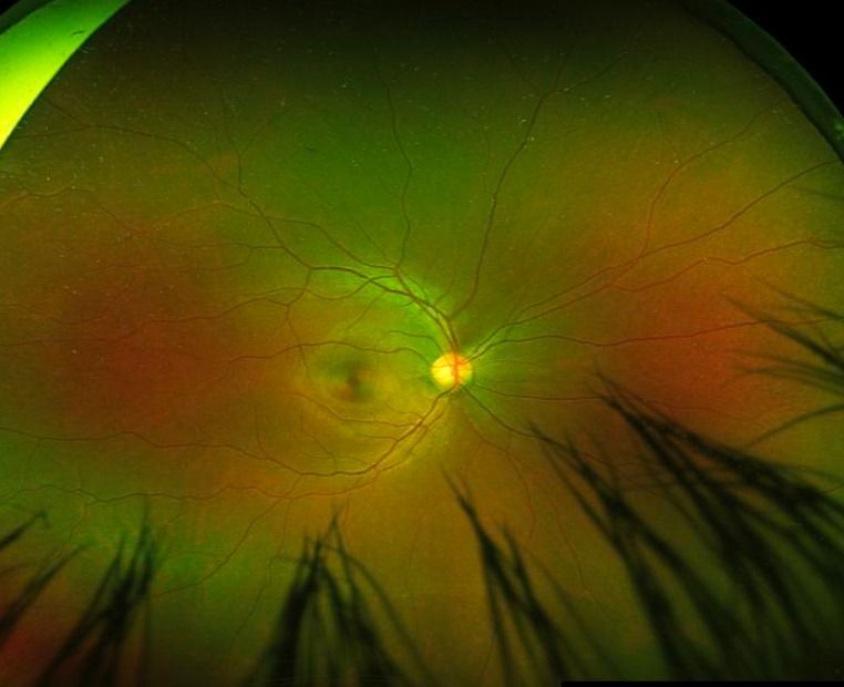 Francisco Javier Zuñiga Morales-2