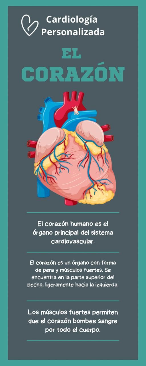 Gerardo Reyes Velázquez-19