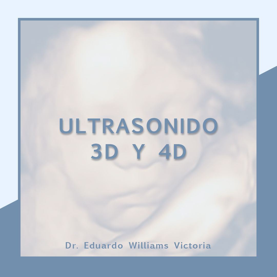 Eduardo Williams Victoria-11