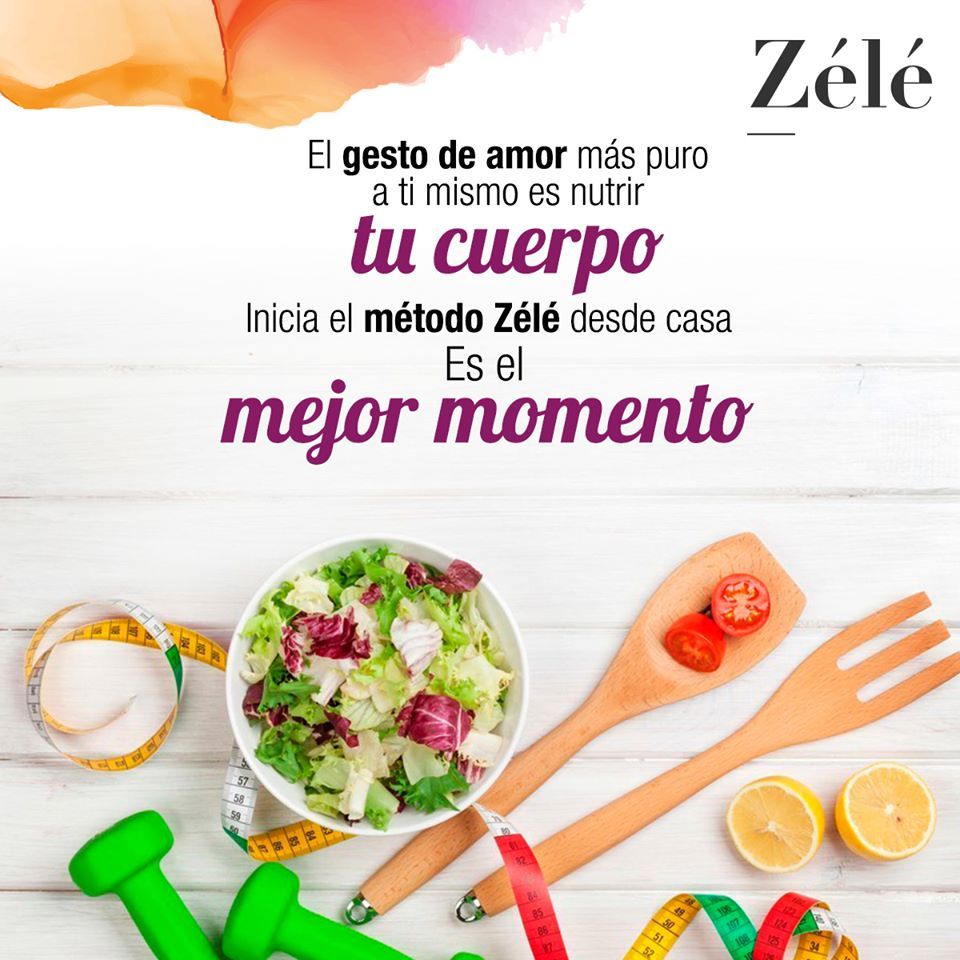 Cyntia Elizarraraz Pérez-16