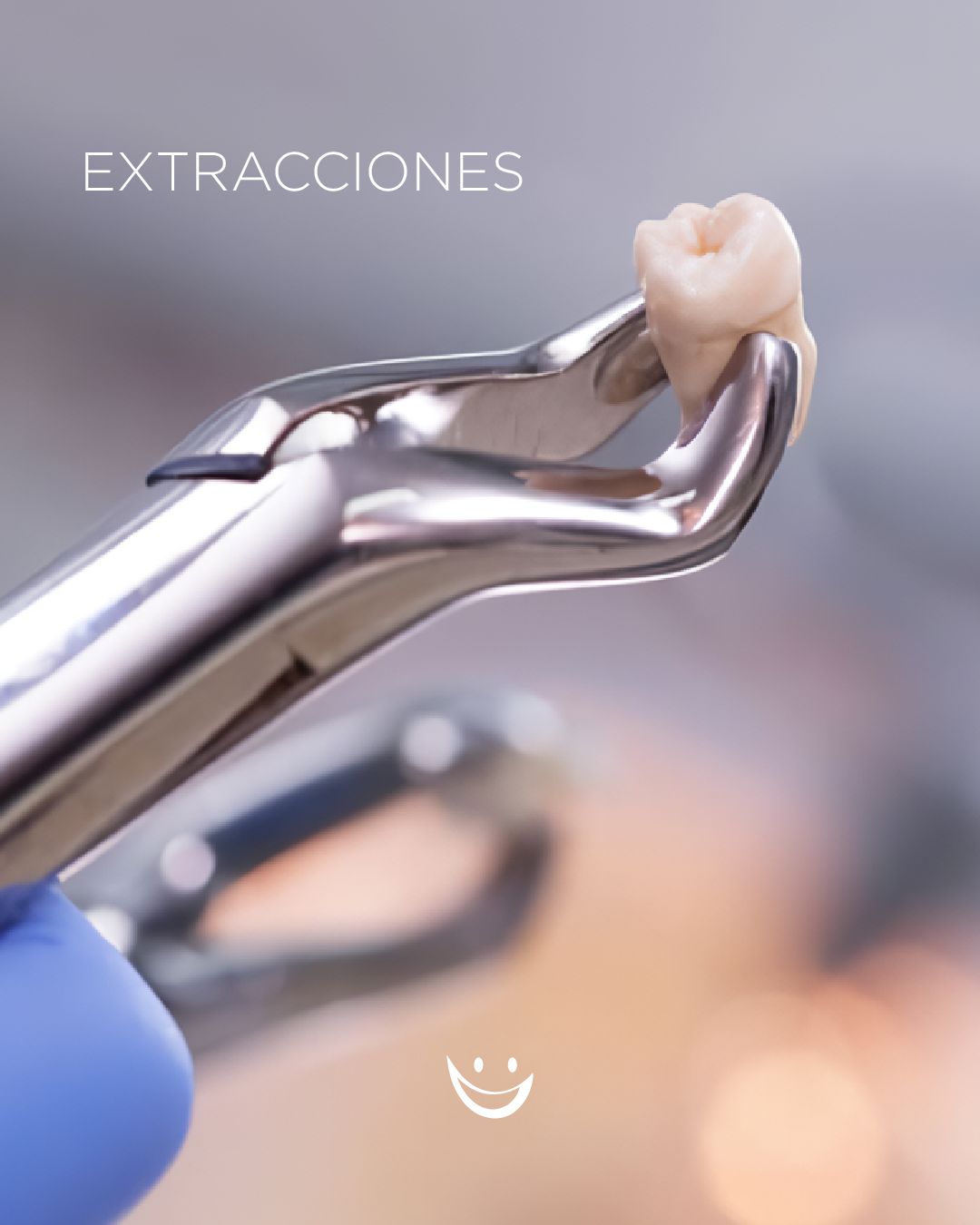 Diana De La Torre Priego-14