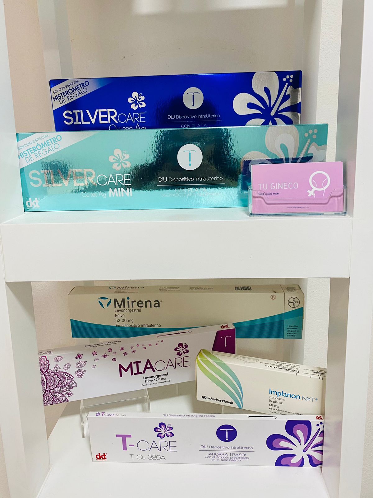 Ana Carina Vazquez Martinez-6