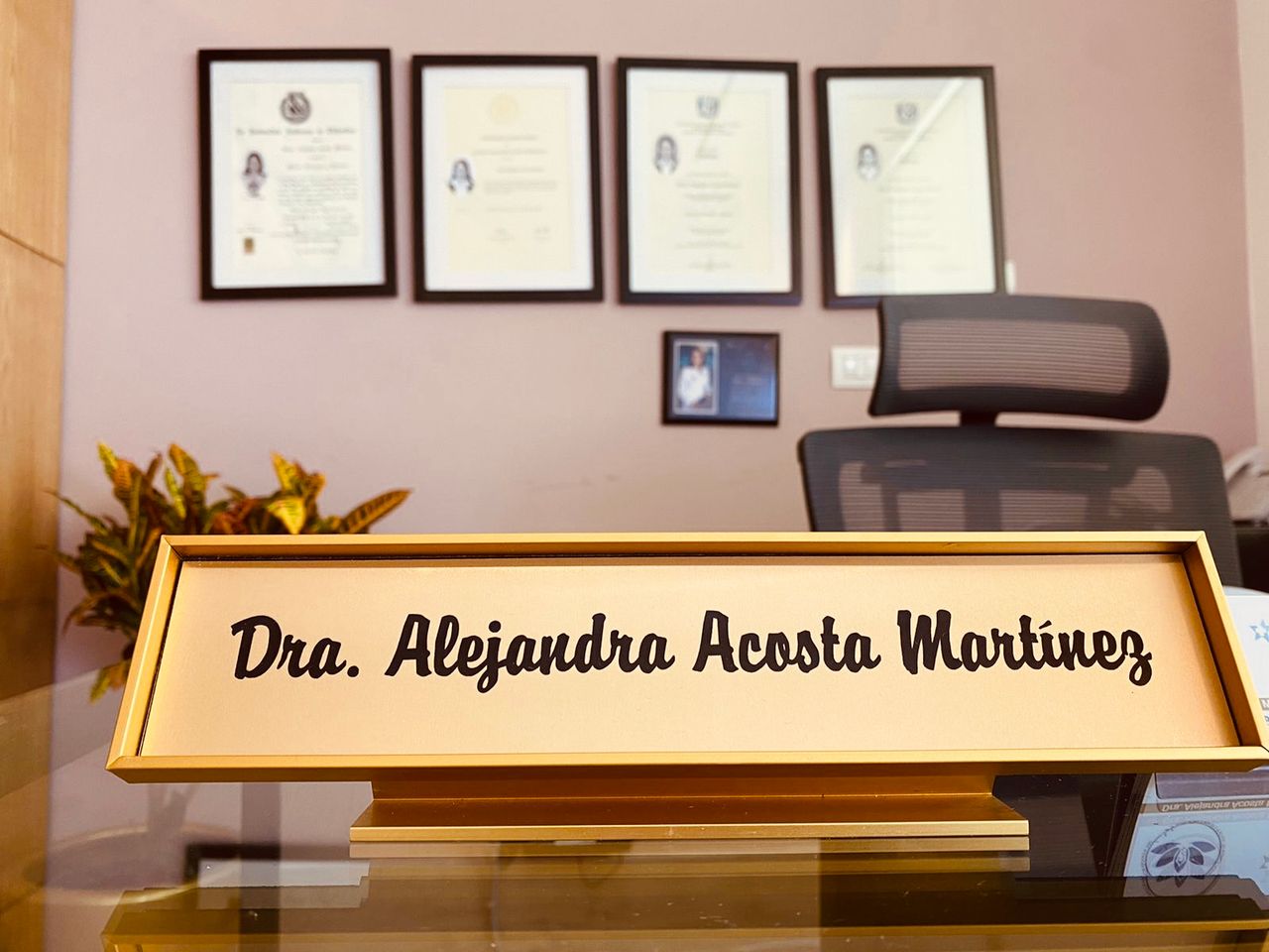 Alejandra Acosta Martinez-8