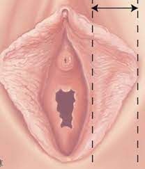 Guadalupe Muñoz Castro-42