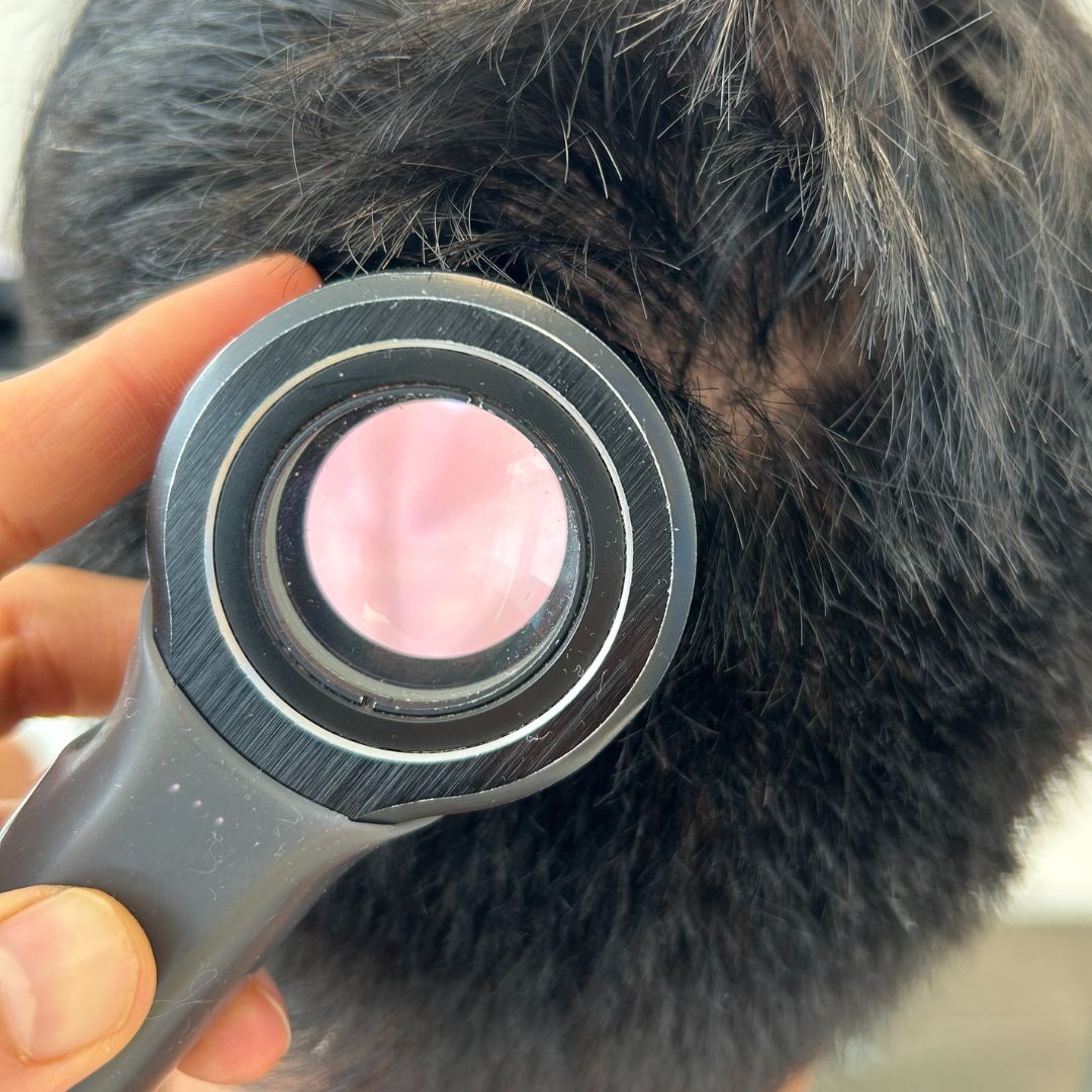 Laura Ortiz Lobato-3