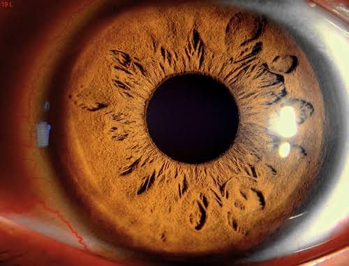 Gabriela Isabel Vargas Barrera-6