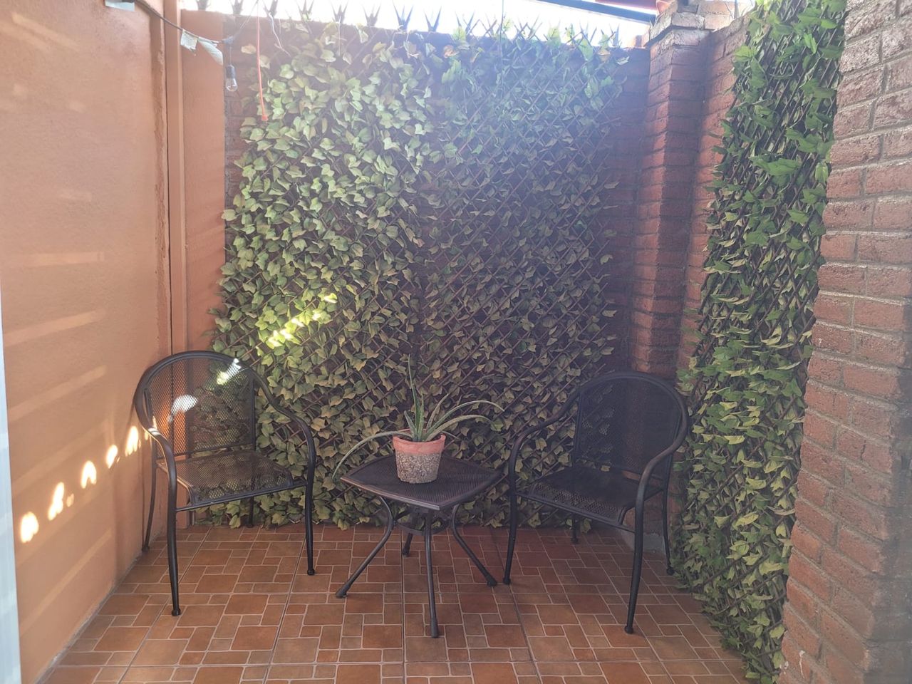 Estela Chavira López-4