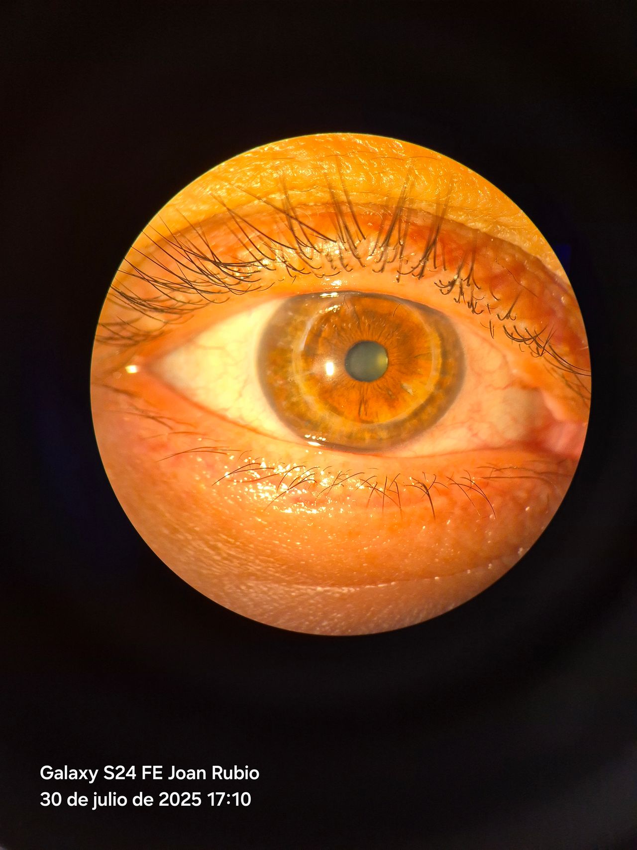 David Joan Rubio Juárez-17