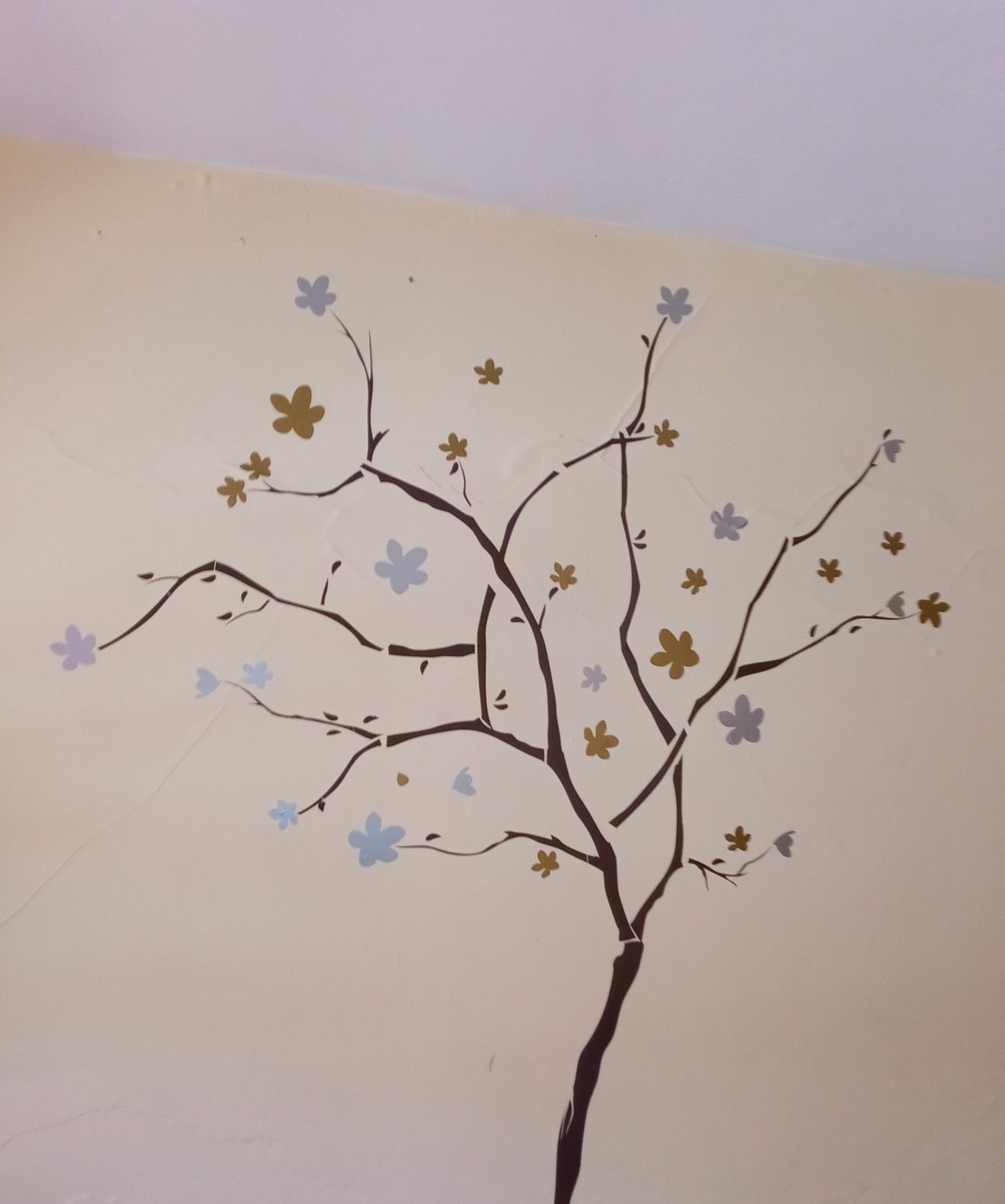 María Guadalupe Ibarra Cordova-2