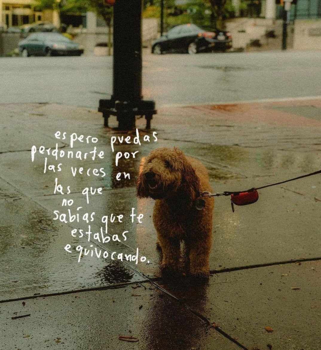 Mariela Suárez Sánchez-5