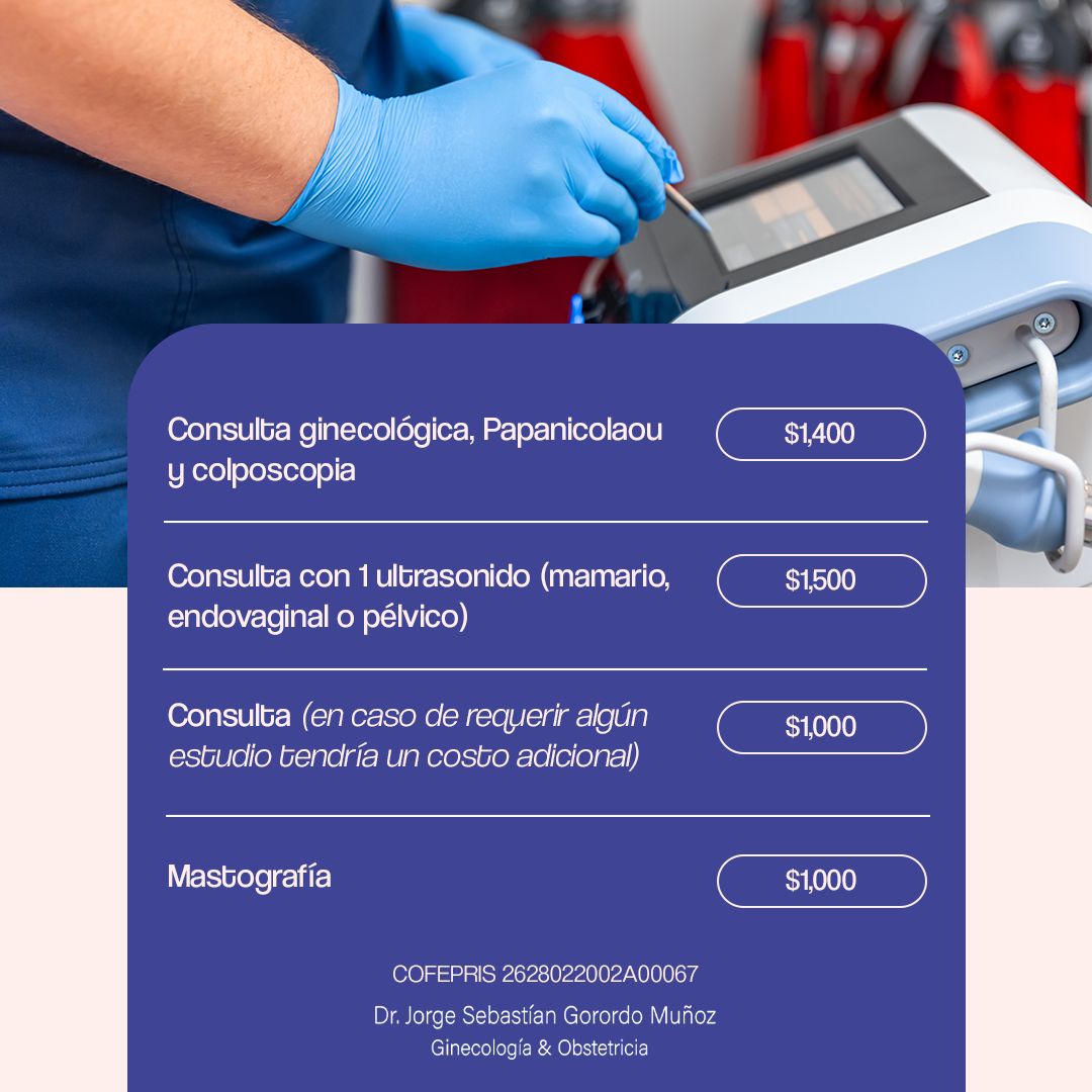 Sebastian Gorordo Muñoz-3