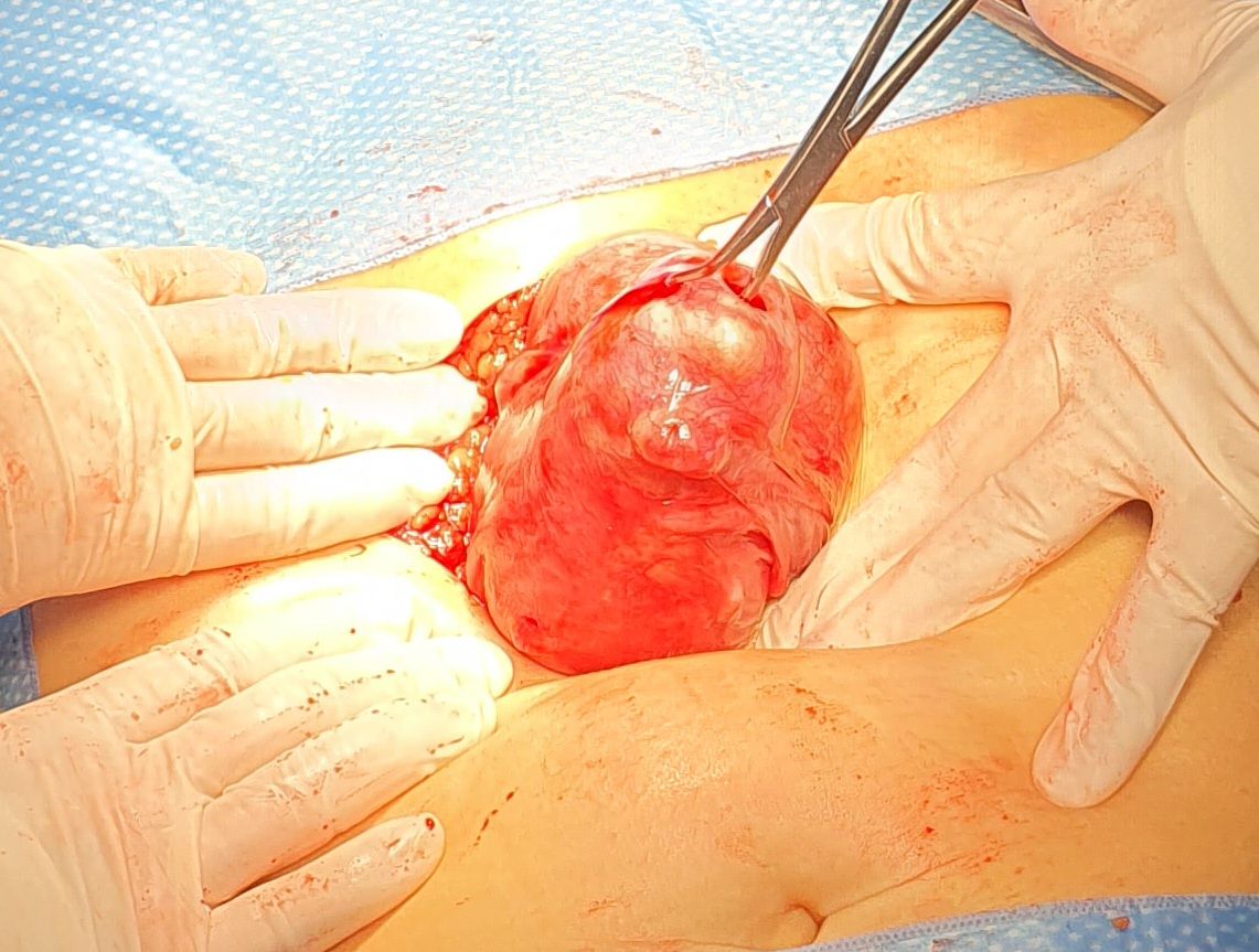 Martha Helena Cabezas Pérez-18