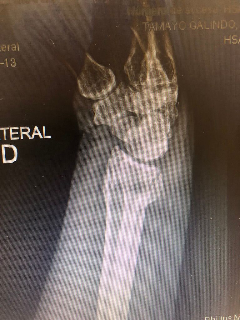 Gisela Cleto Zepeda-106